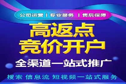 百度推广运营实战攻略：案例教学与优化